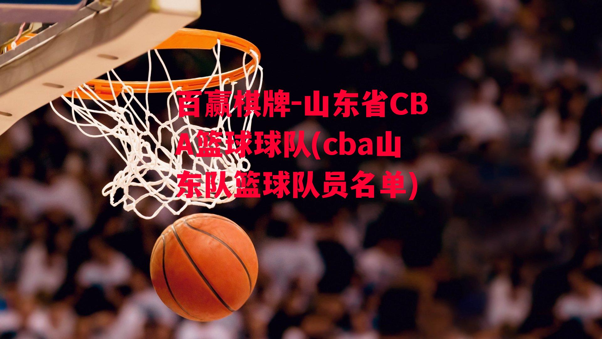 山东省CBA篮球球队(cba山东队篮球队员名单)